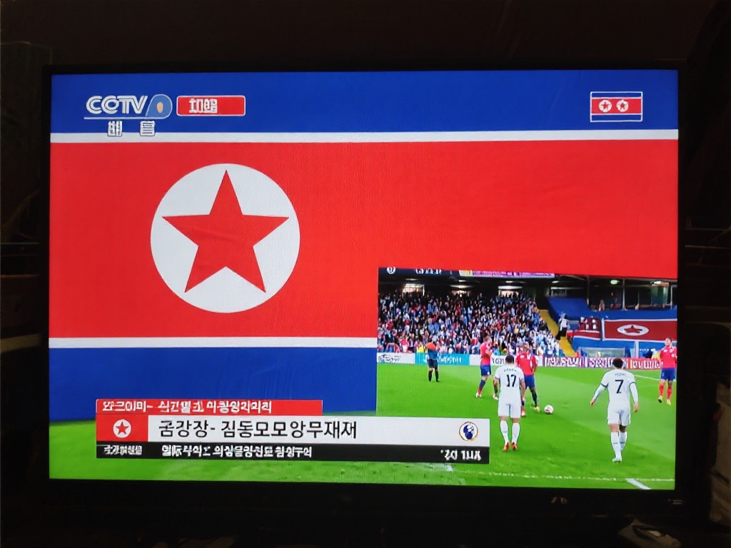 中展现出 中展现出